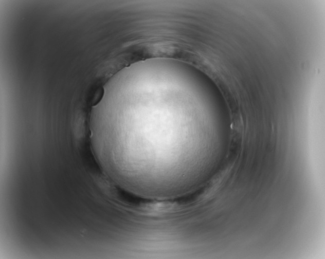 X0000088380323200706051104