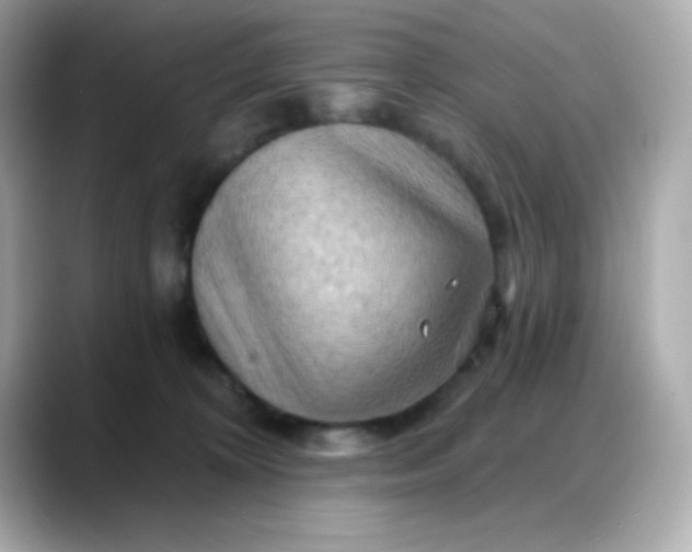 X0000088380324200706051104