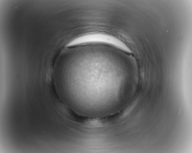 X0000088380325200706051104