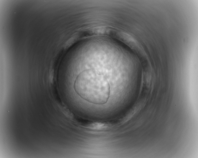 X0000088380326200706051104