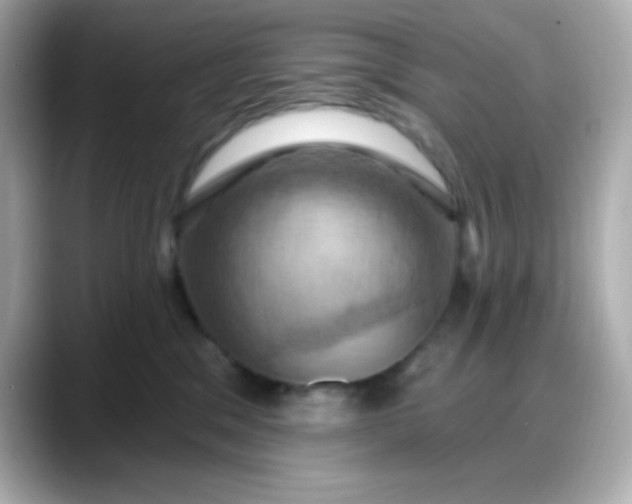 X0000088380329200706051104