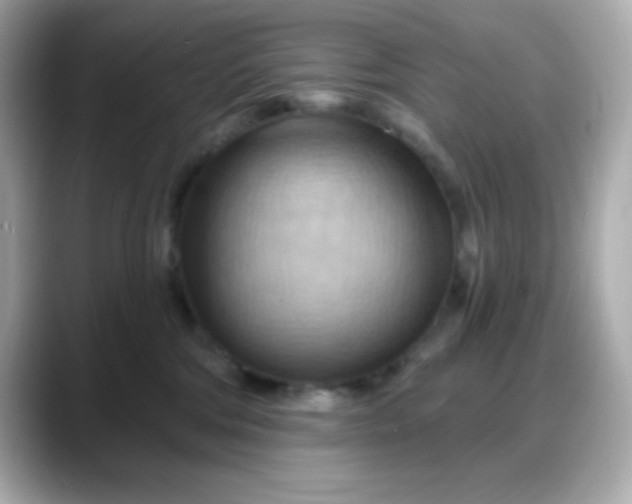 X0000088380330200706051104