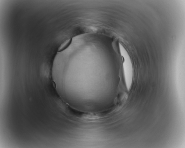 X0000088380331200706051104