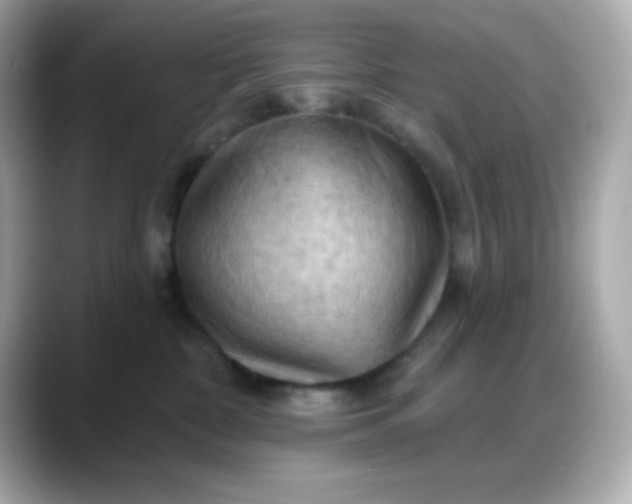X0000088380332200706051104