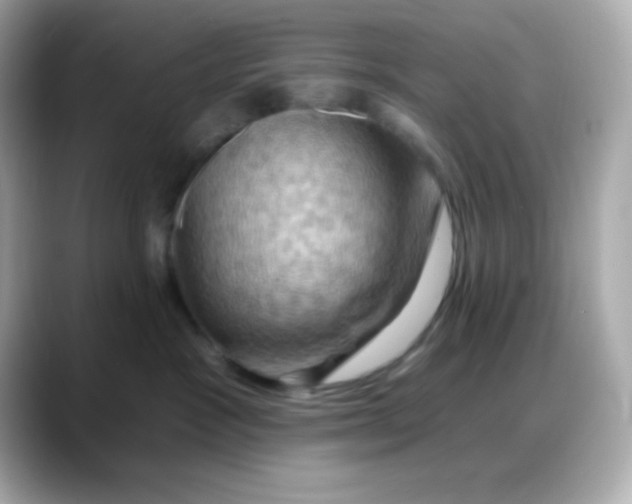 X0000088380333200706051104