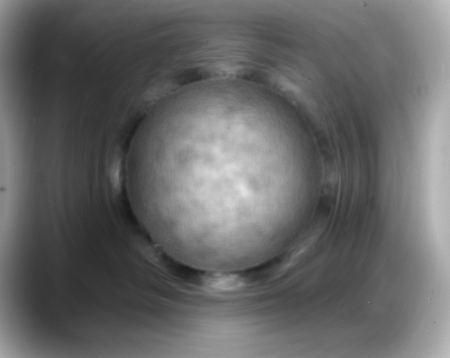 X0000088380334200706051104