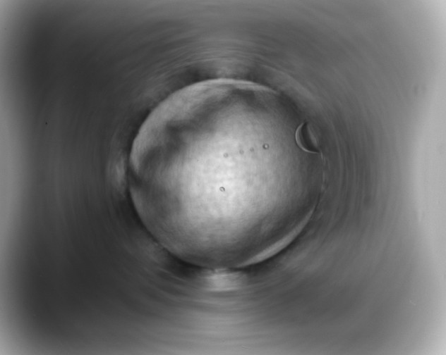 X0000088380336200706051104