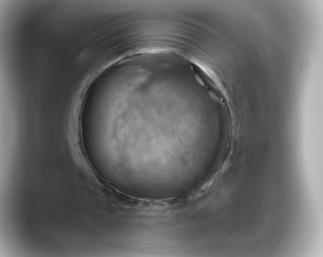 X0000088380337200706051103