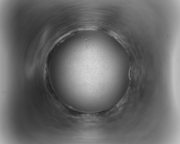 X0000088380338200706051103
