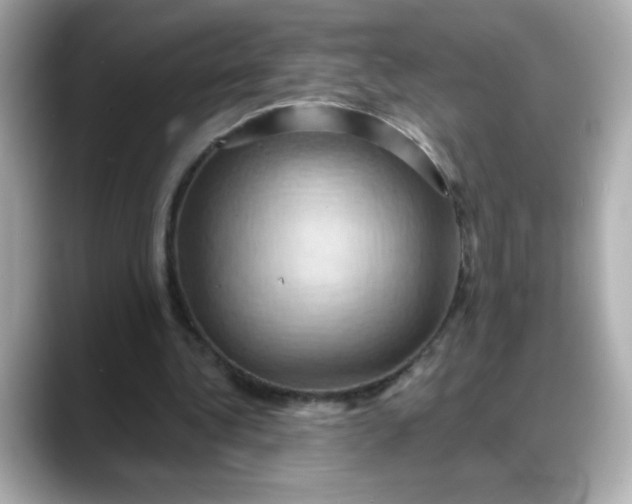 X0000088380340200706051103