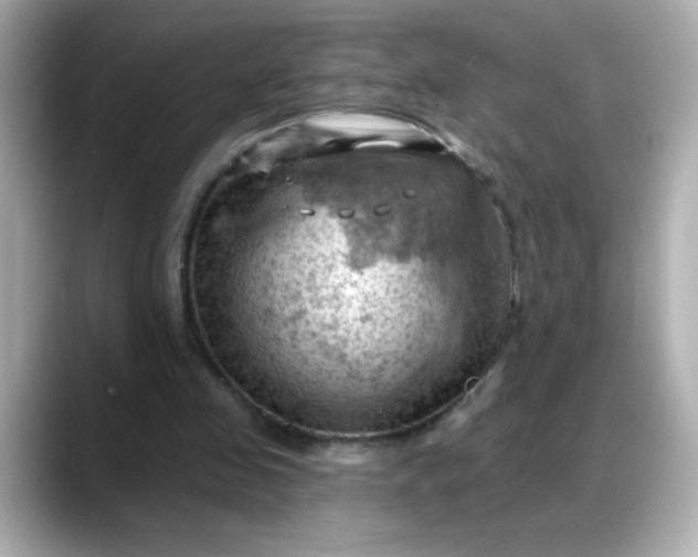 X0000088380341200706051103