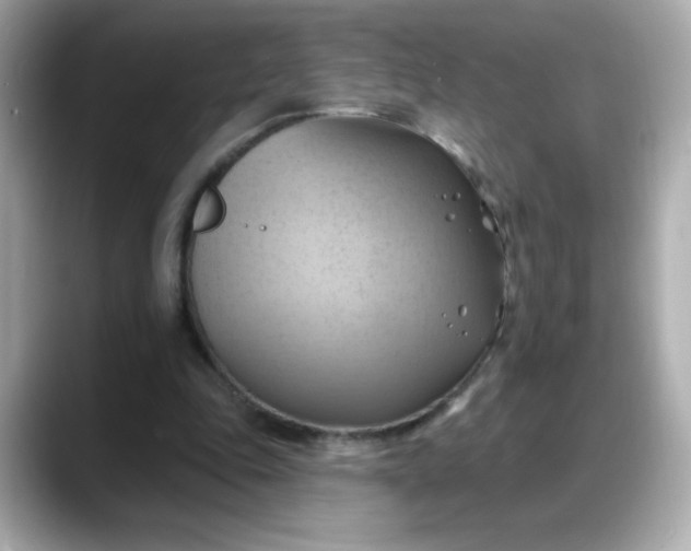 X0000088380343200706051103