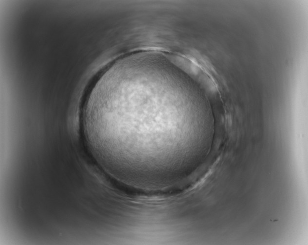 X0000088380344200706051103