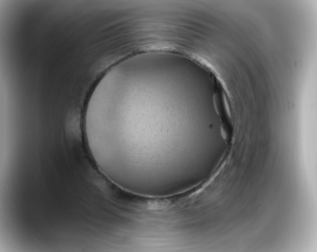 X0000088380345200706051103