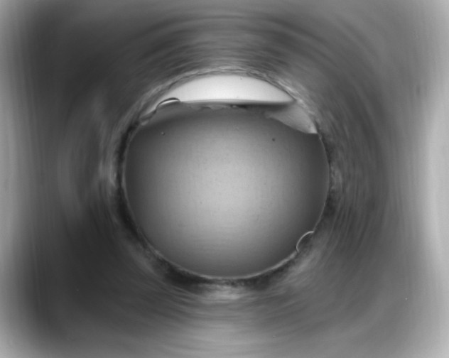 X0000088380347200706051103