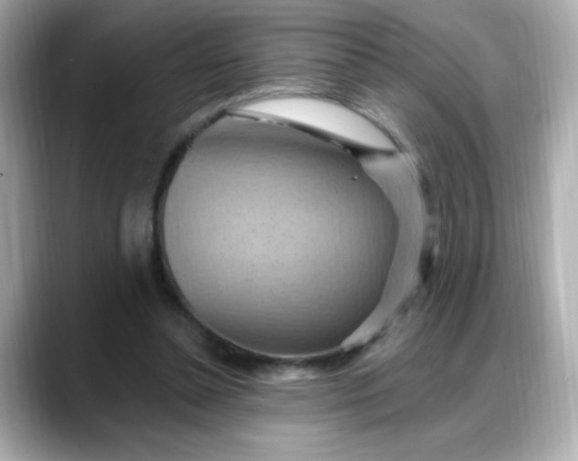 X0000088380348200706051103
