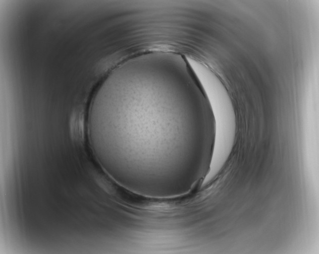 X0000088380349200706051103