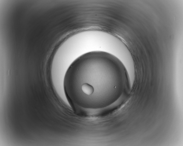 X0000088380350200706051103