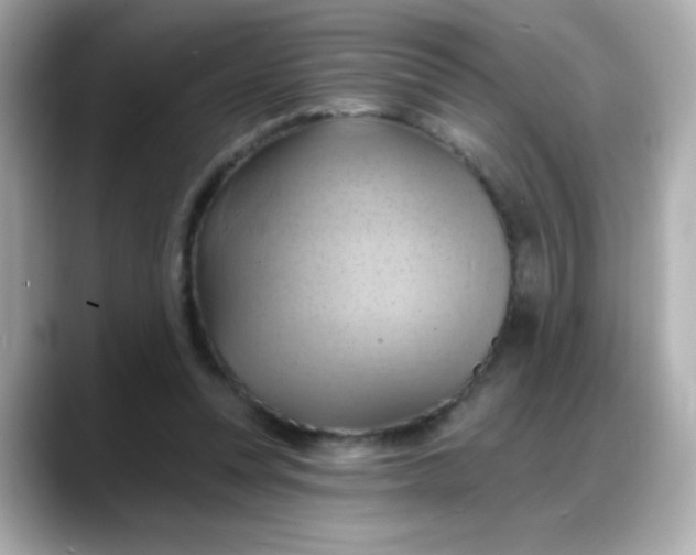 X0000088380351200706051103