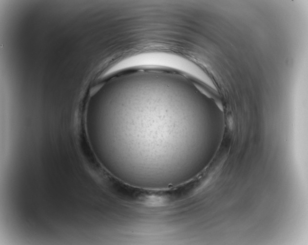 X0000088380352200706051103