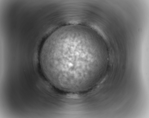 X0000088380354200706051103