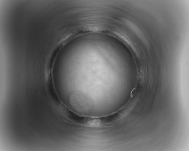 X0000088380355200706051103