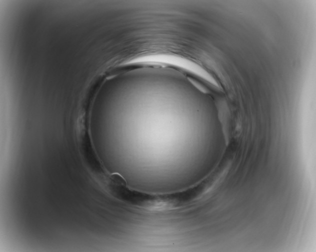 X0000088380356200706051103