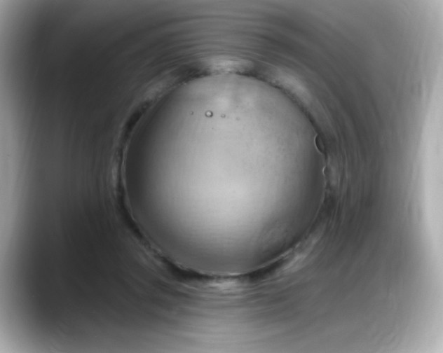 X0000088380357200706051103