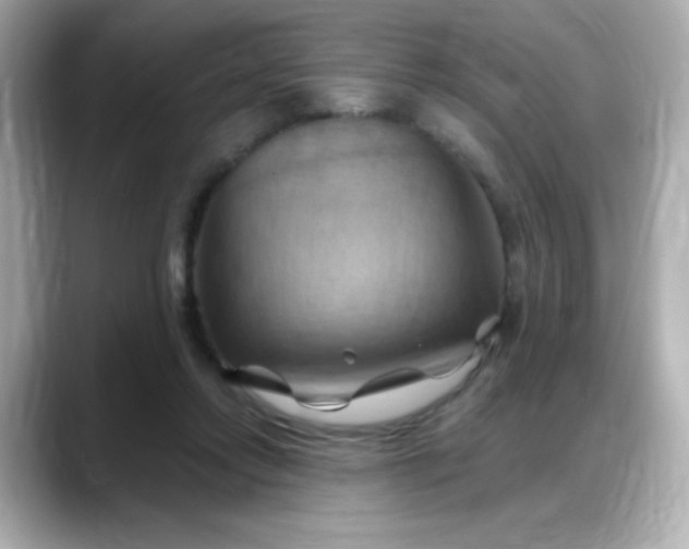 X0000088380358200706051103