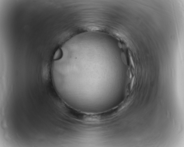 X0000088380359200706051103
