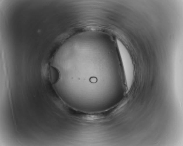 X0000088380361200706051104