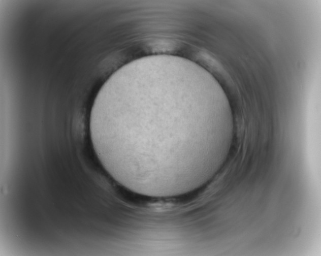 X0000088380362200706051104