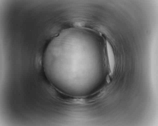 X0000088380363200706051104