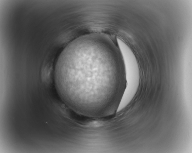 X0000088380364200706051104