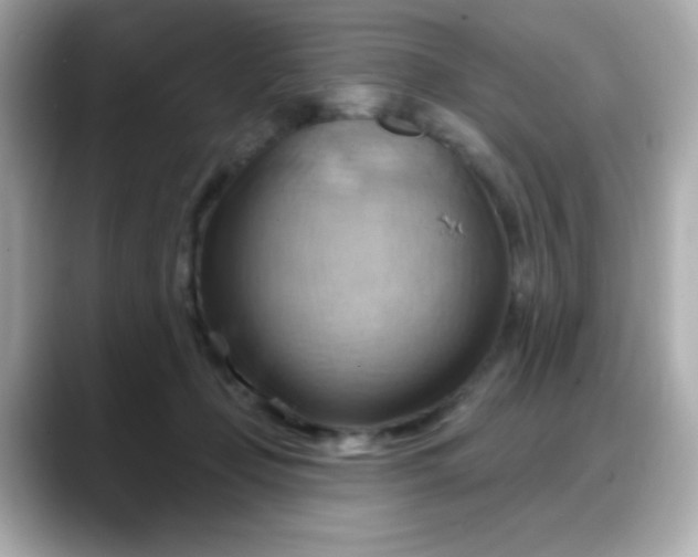 X0000088380365200706051104