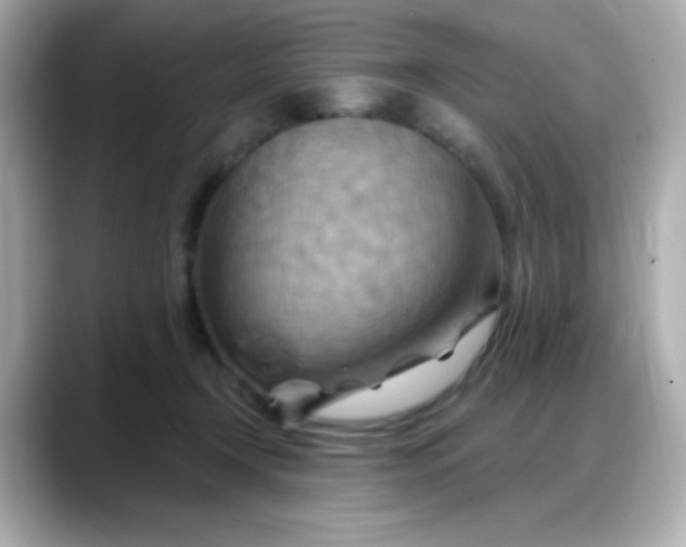 X0000088380366200706051104