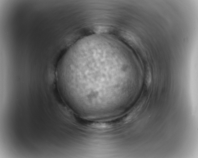 X0000088380367200706051104