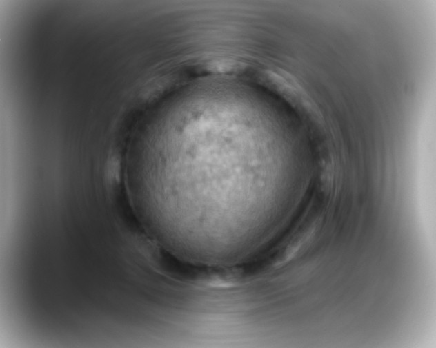 X0000088380368200706051104