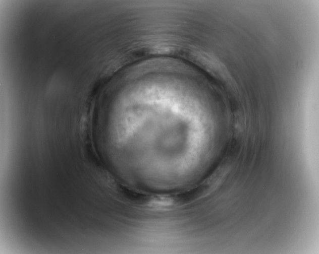 X0000088380369200706051104