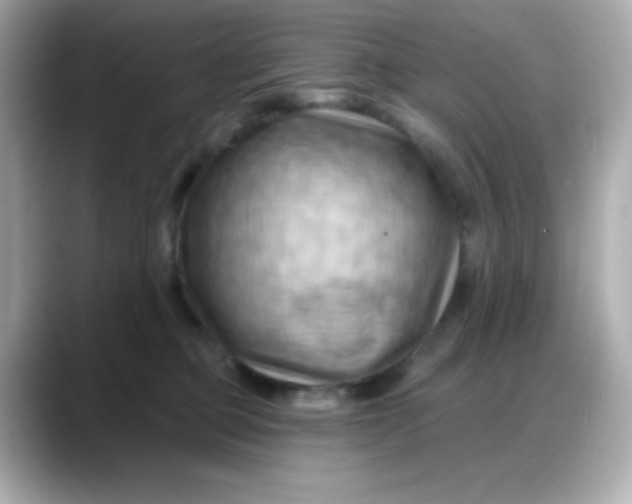 X0000088380373200706051104