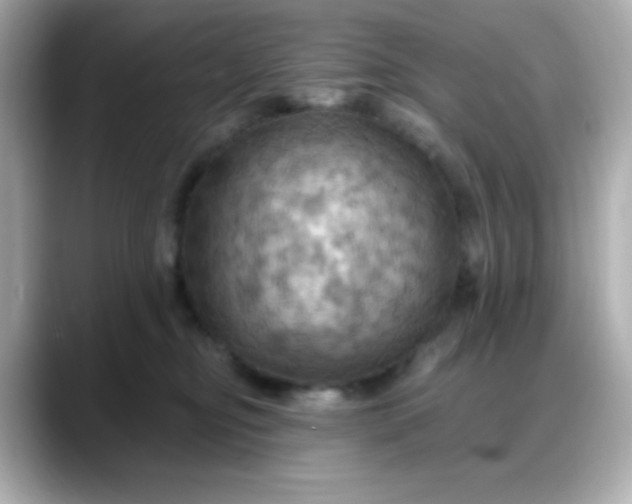 X0000088380374200706051104