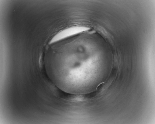 X0000088380377200706051104