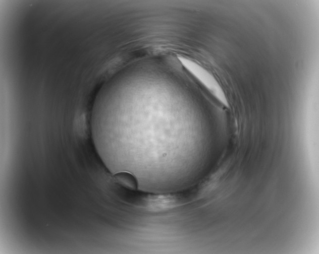 X0000088380378200706051104