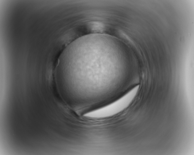 X0000088380379200706051104