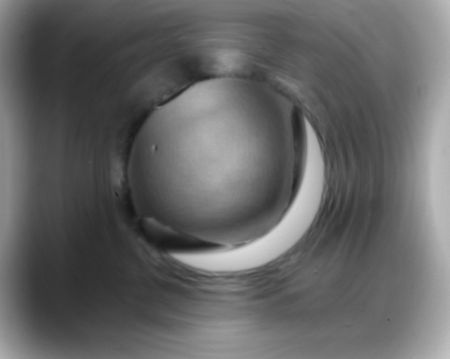 X0000088380380200706051104