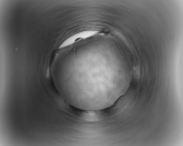 X0000088380381200706051104