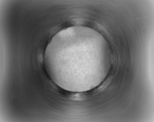X0000088380382200706051104