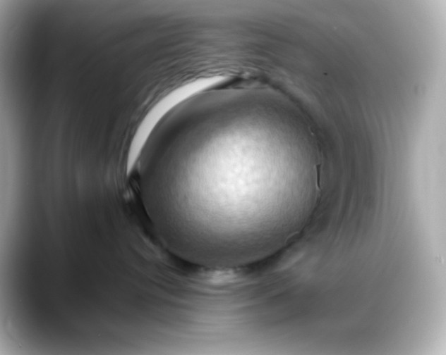 X0000088380384200706051104