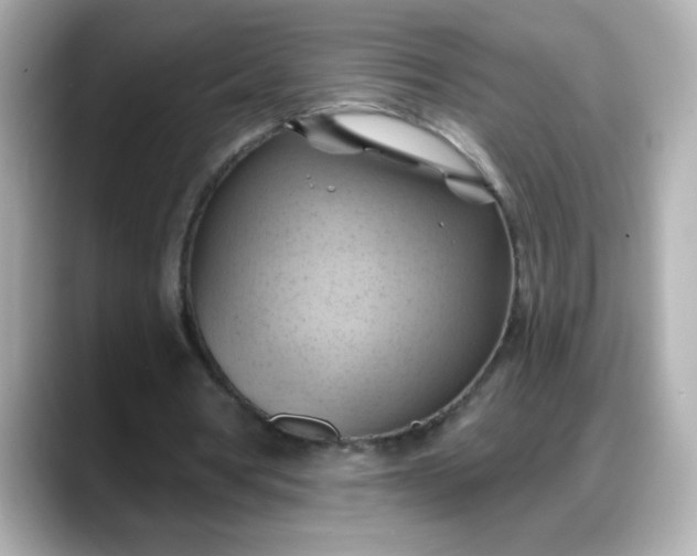 X0000088380386200706051103