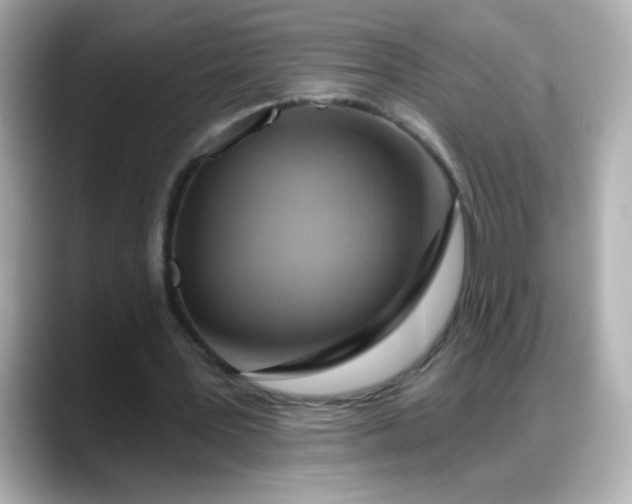 X0000088380387200706051103